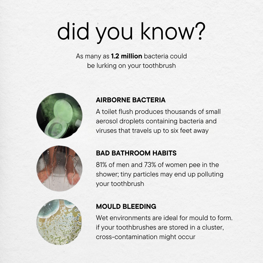 UV Toothbrush Sterilizer