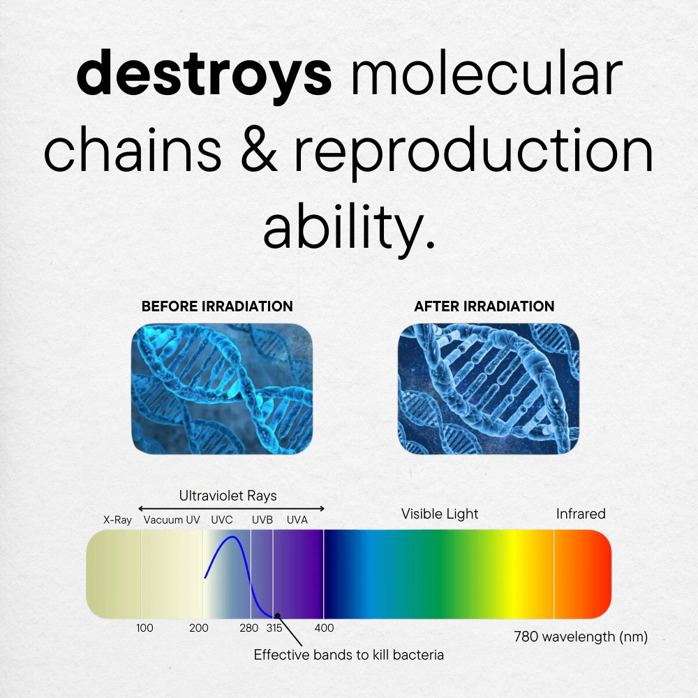 UV Toothbrush Sterilizer