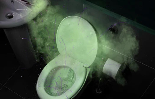 Airborne bacteria